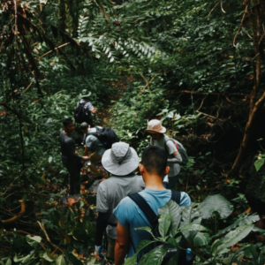 Trekking rừng Cúc Phương